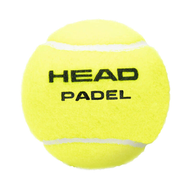 Cajon 24 botes pelotas Head Padel Team